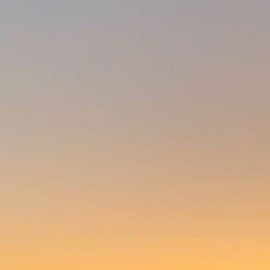 Meet your Posher, Hareem